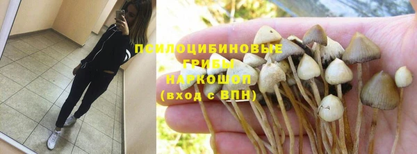 шишки Фёдоровский