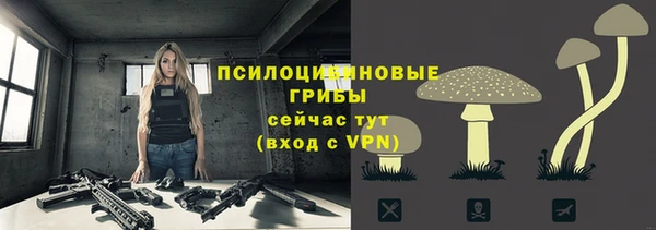 шишки Балабаново