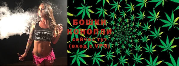 шишки Балабаново
