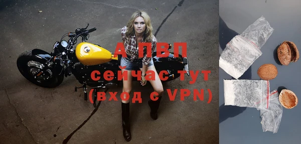 шишки Балабаново