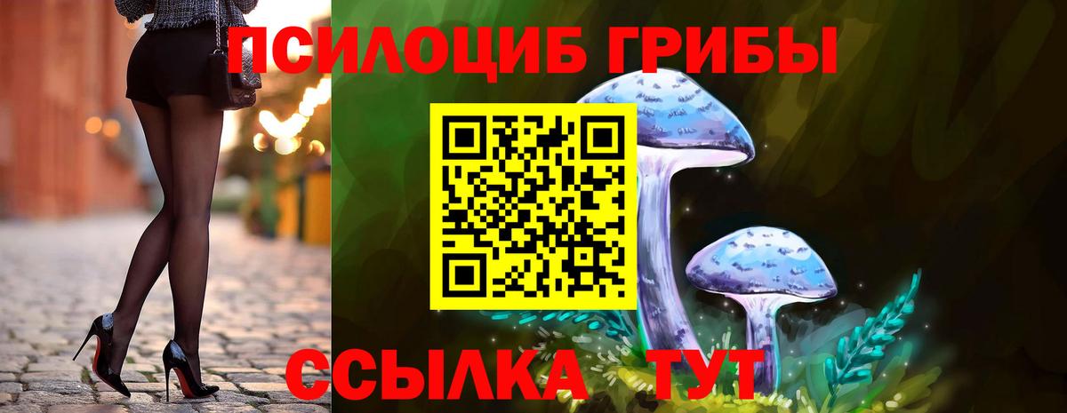 Видное  купить наркотики сайты  Вход с VPN  Галлюциногенные грибы мицелий 