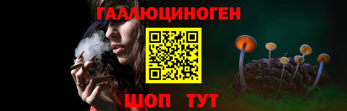 Псилоцибиновые грибы Psilocybine cubensis  Галлюциногенные грибы ЛСД  Видное 