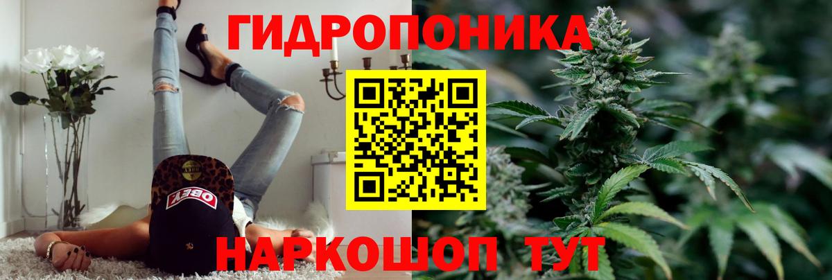 Бошки Шишки SATIVA & INDICA  МАРИХУАНА ГИДРОПОН  Вход с VPN  Канабис сатива  Видное 